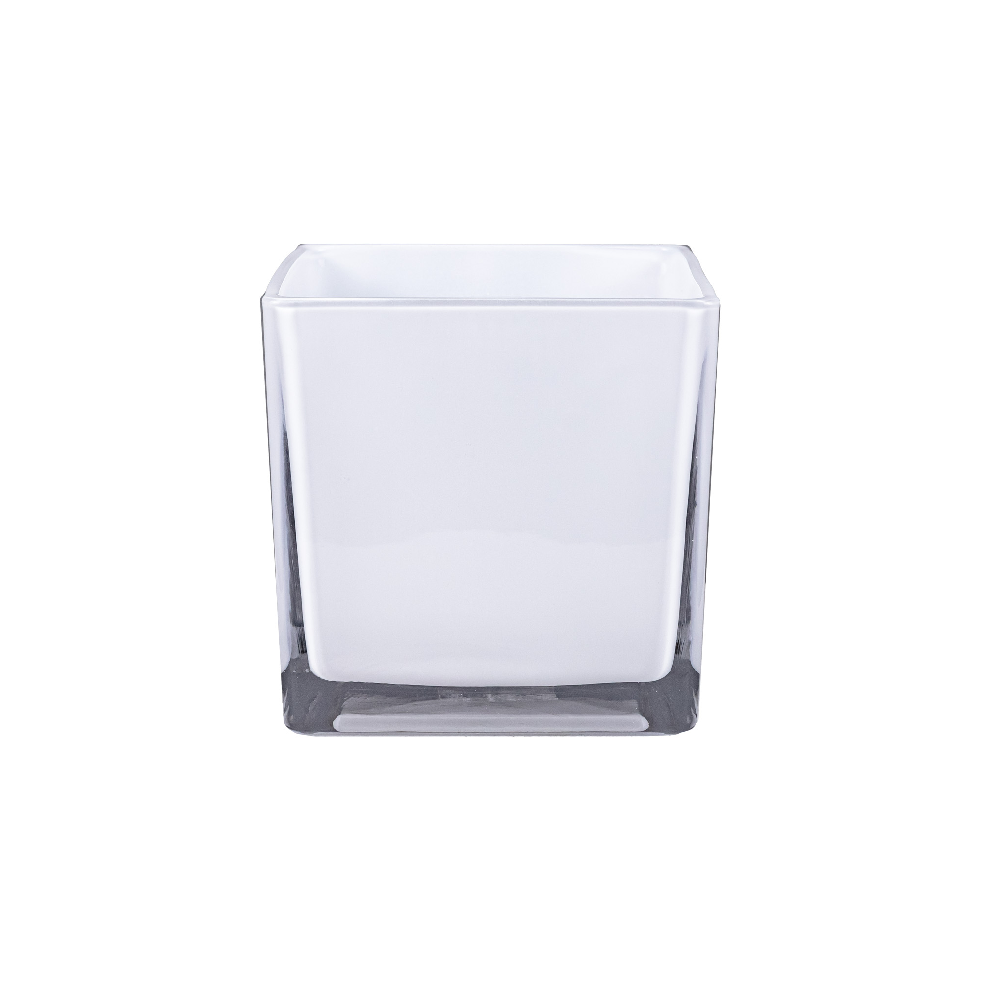 Роза флорибунда Ментор Роз